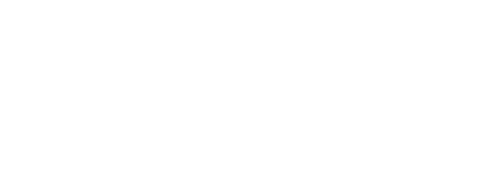 Logo en color blanco de OWASP